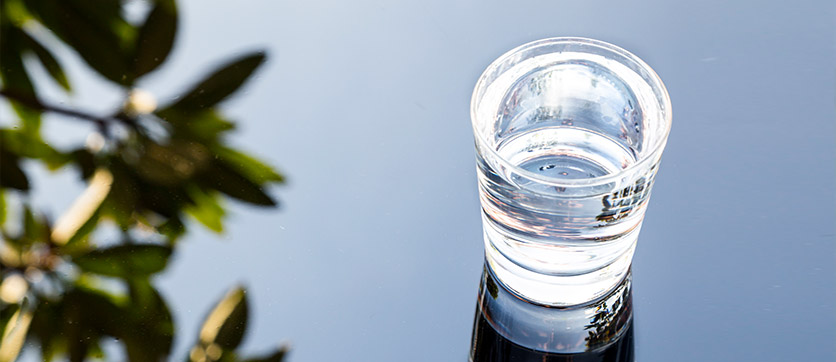 La primaria importanza dell’acqua per la nostra salute
